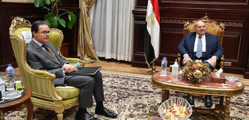 بالصور.. رئيس مجلس الشيوخ يستقبل سفير فرنسا بالقاهرة