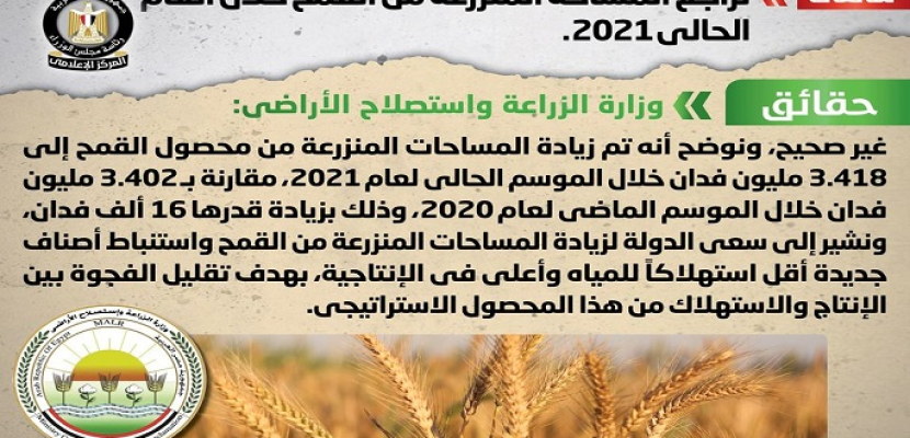 مجلس الوزراء ينفي تراجع المساحة المنزرعة من القمح خلال العام الحالي 2021