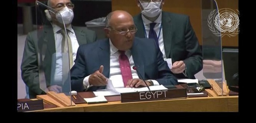 كلمة وزير الخارجية سامح شكري أمام مجلس الأمن بشأن سد النهضة الإثيوبي