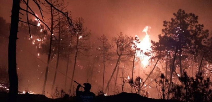 تونس : تقدم كبير في السيطرة على الحرائق بغابات ملولة