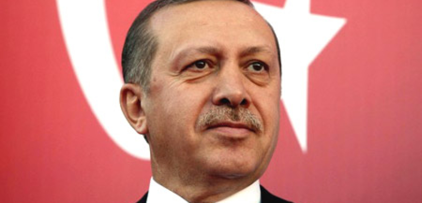 أردوغان يحث على تنشيط الجهود الدولية لتسوية المشكلة السورية