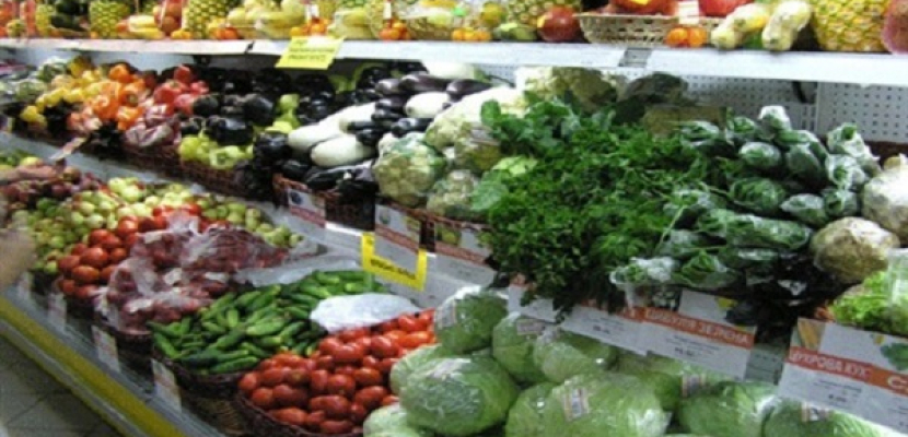 وزير التموين : 16 سلسلة تجارية حديثة لبيع السلع الغذائية بالقاهرة والمحافظات بأسعار مميزة