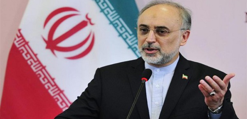 وزير الخارجية: إيران ملتزمة بمواصلة المحادثات النووية