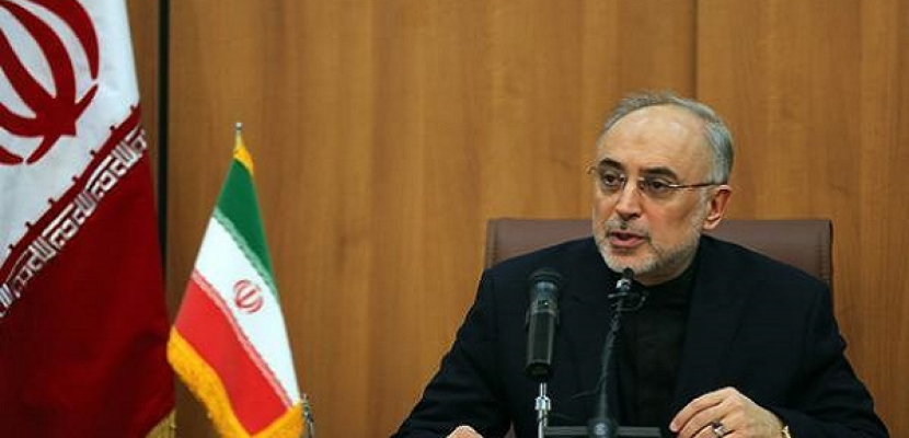 إيران تعلق تخصيب اليورانيوم بنسبة 20 %