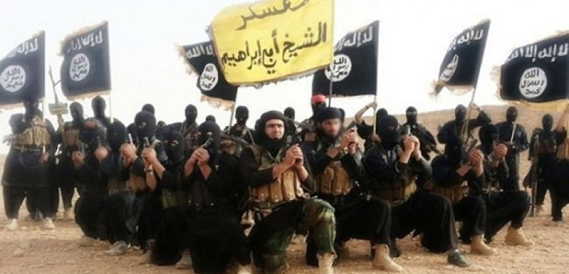 الجيش يواجه الإرهاب بالأباتشي.. وعناصر من «داعش» تصل سيناء