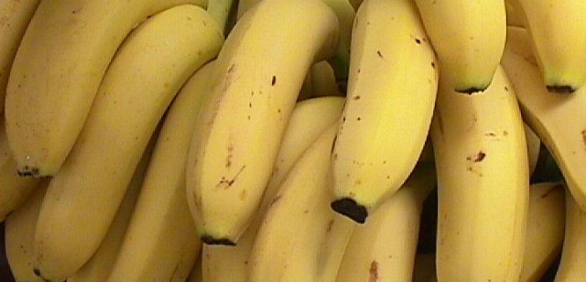 الموز يحسن فاعلية الجهاز المناعى ويمد الجسم بالألياف الغذائية