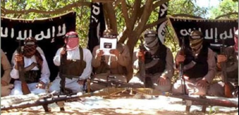جماعة أنصار بيت المقدس تبايع أمير داعش خليفة للمسلمين