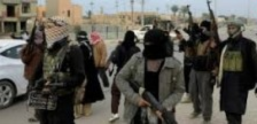 مقتل 6 من عناصر”داعش” وتدمير وكر لهم في الفلوجة بالأنبار في العراق