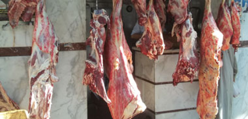 شعبة اللحوم: 5جنيهات ارتفاعا فى أسعار اللحوم بعد قرار منع ذبح البتلو