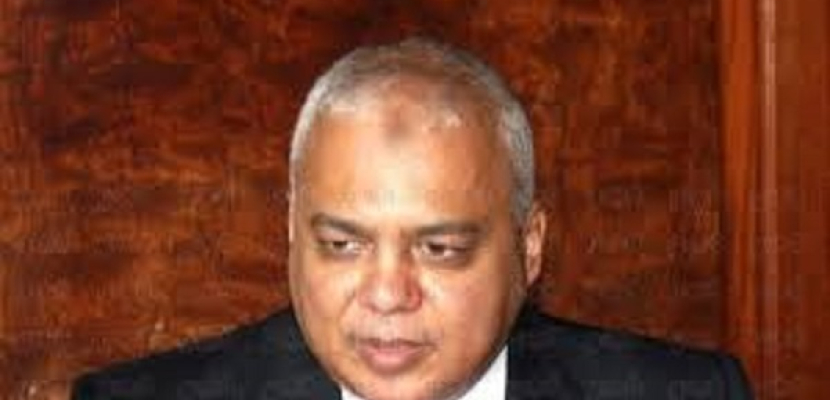 وزير الري: مصر قدمت لتنزانيا 4 مليون دولار لحفر “70” بئر جوفي
