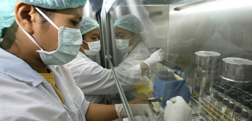 القليوبية ودمياط والفيوم خالية من انفلونزا الطيوروالخنازير