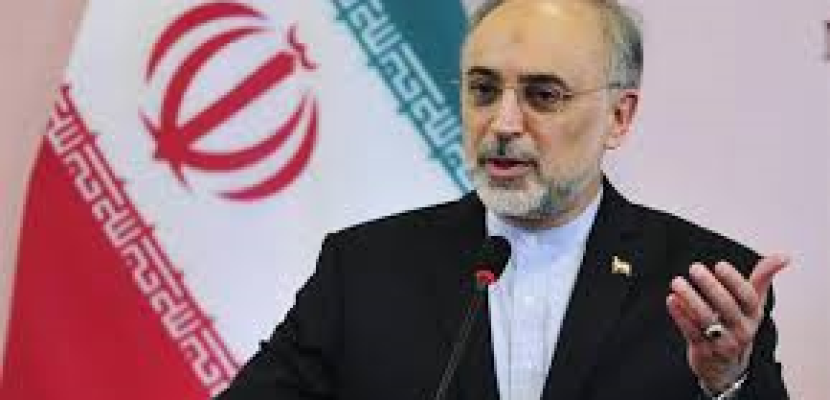 وزير خارجية إيران : إنهاء الأزمة السورية يتطلب حلا سياسيا