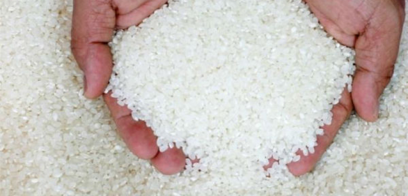 وزير التموين ينفي إصدار قرار بفتح باب تصدير الأرز