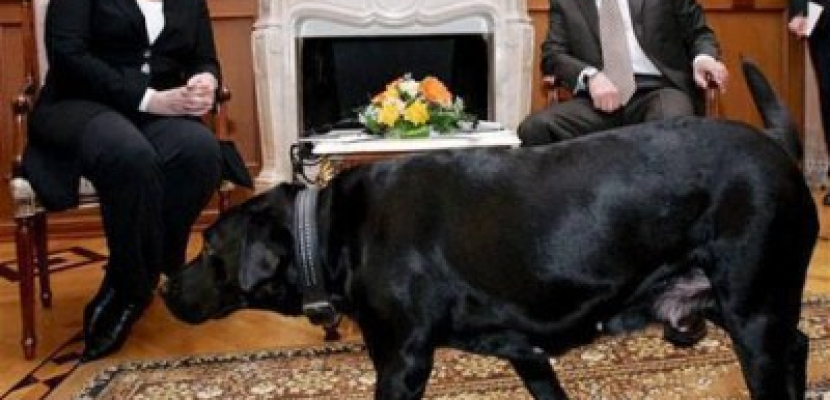 «بوتين» يثير رعب «ميركل» بـ «كلب»