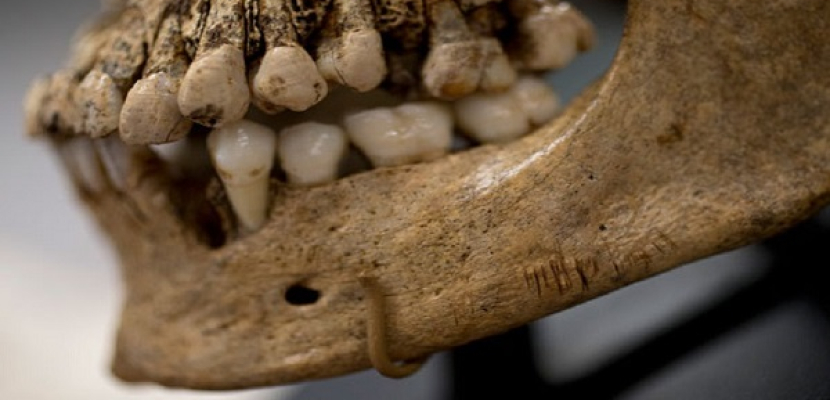 العثور على عظام وجمجمة تعود لـ1400 عام مضت في لندن