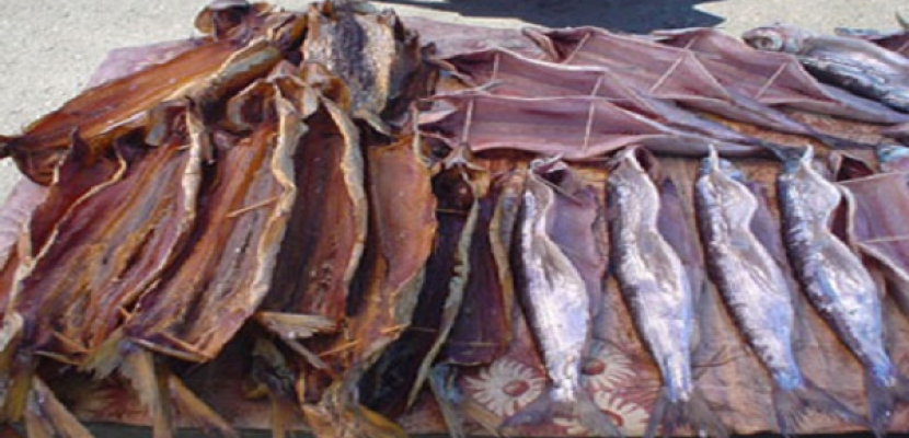 الصحة تعدم 20 طنا من الأسماك المملحة غير صالحة للإستهلاك الآدمي