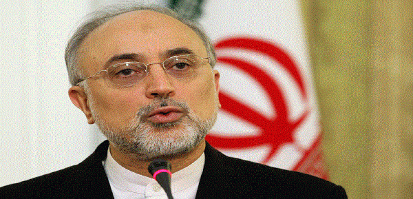 صالحي: إيران ستصدر المواد النووية الاستراتيجية