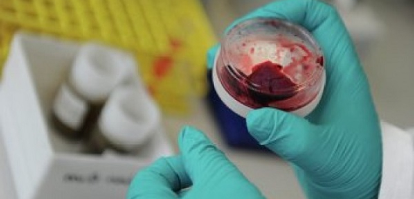 كوريا الجنوبية تعلن 14 إصابة جديدة بفيروس كورونا ترفع إجمالي الإصابات إلى 122