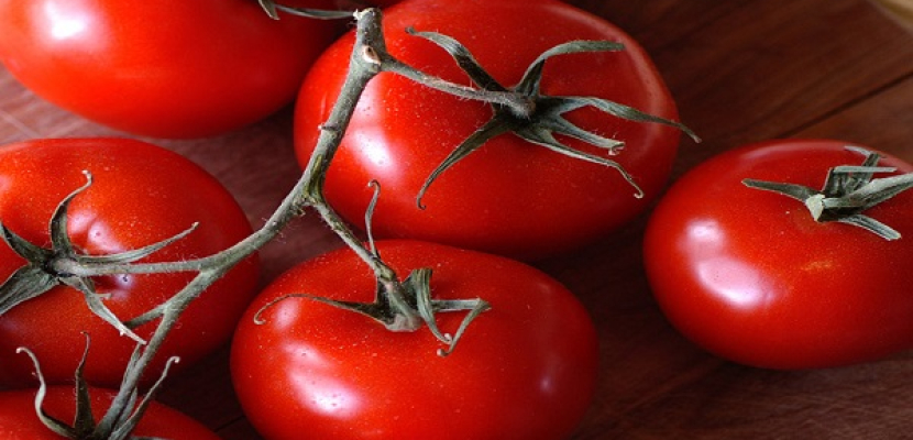 الطماطم تقي من آثار شيخوخة الجلد والتجاعيد