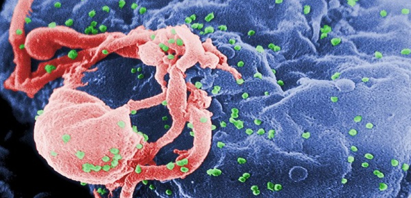 النانو تكنولوجيا لزيادة فاعلية الادوية التي تعالج الايدز