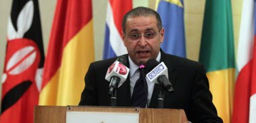 سالمان: مصر ستطرح 30 مشروعا لجذب استثمارات بقيمة تصل إلى 20 مليار دولار