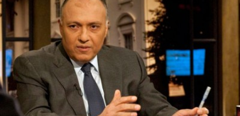 وزير الخارجية من البرلمان: نتابع حوادث الاعتداء على المصريين بالخارج لحظيا