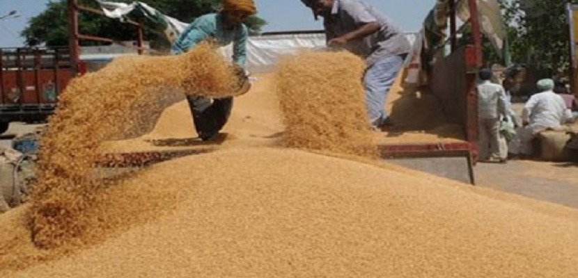 مصر توقع عقدا مع شركة أمريكية لتطوير تخزين القمح