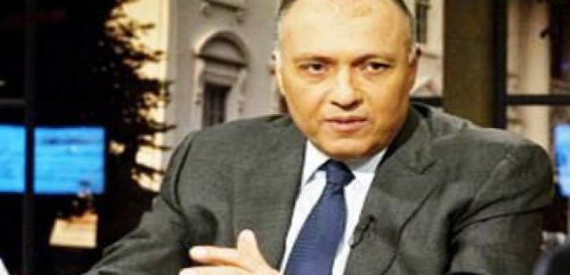 وزراء الخارجية العرب يؤكدون لسامح شكري دعم بلادهم لمصر