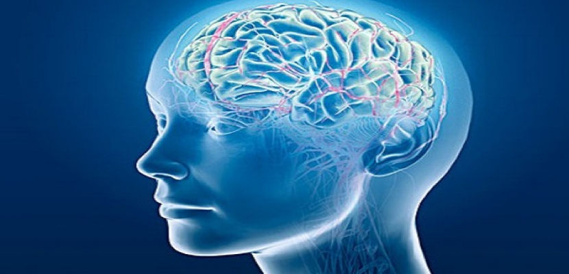 التحفيز الكهربائى لخلايا المخ قد يساعد مرضى الفصام !!