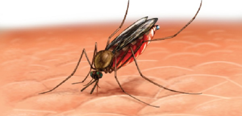 أطباء بلا حدود: الملاريا سبب الوفاة الأول في جمهورية إفريقيا الوسطى