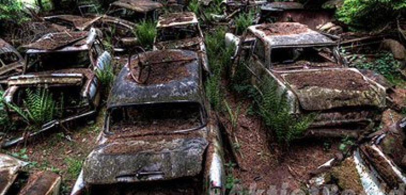 أكبر مقبرة سيارات فى العالم وسط الغابات منذ 70 عامًا