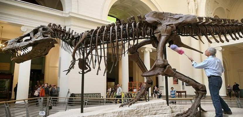 دراسة أمريكية: الديناصورات من ذوات الدم الحار