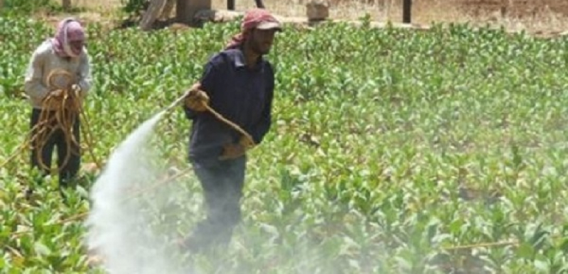 مصر والسودان يتفقان على وضع خارطة محصولية وبرنامج تنفيذي للتكامل الزراعي