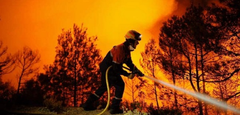 تحرق غابة “للترفيه” عن رجال الإطفاء