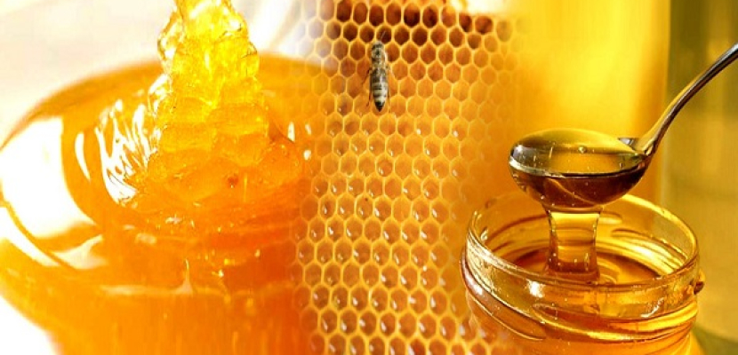 بكتيريا في العسل تعالج الجروح والالتهابات