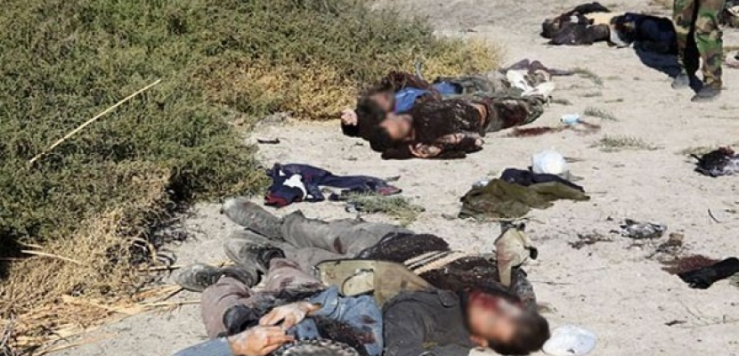 مقتل 18 من عناصر”داعش” فى غارة جوية سورية بالرقة