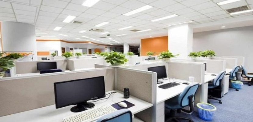 دراسة:النباتات في مكان العمل تجعل الموظفين أسعد وأكثر انتاجا