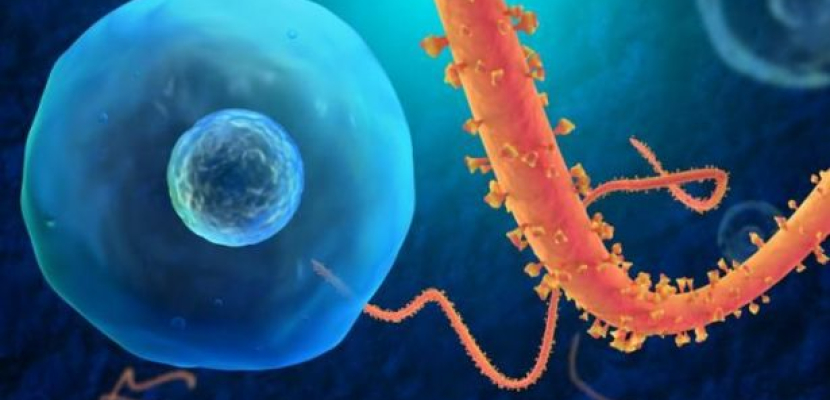 ظهور 3 حالات إصابة بفيروس إيبولا في مدينة دالاس الأميركية