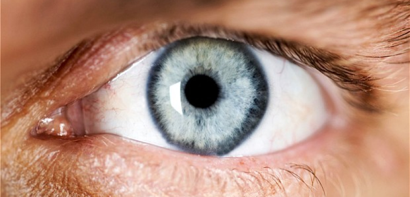 علماء: اكتشاف نوع من الخلايا الجذعية فى العين يشفى من العمى