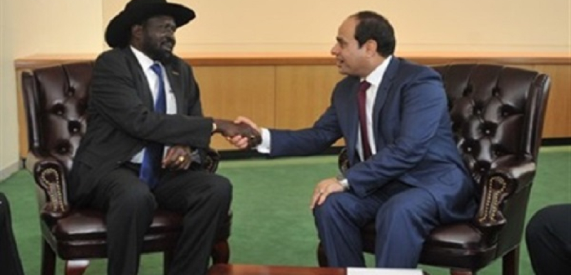 وزير الري ينقل رسالة شفهية من الرئيس السيسي إلى رئيس جنوب السودان