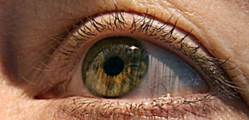 بروتينات العين مسئولة عن تدهور قوة الإبصار