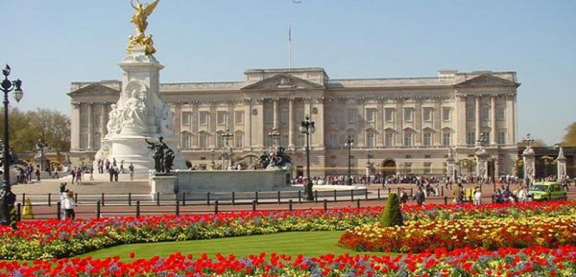 فطر “سحري” يسبب الهلوسة في قصر الملكة إليزابيث الثانية