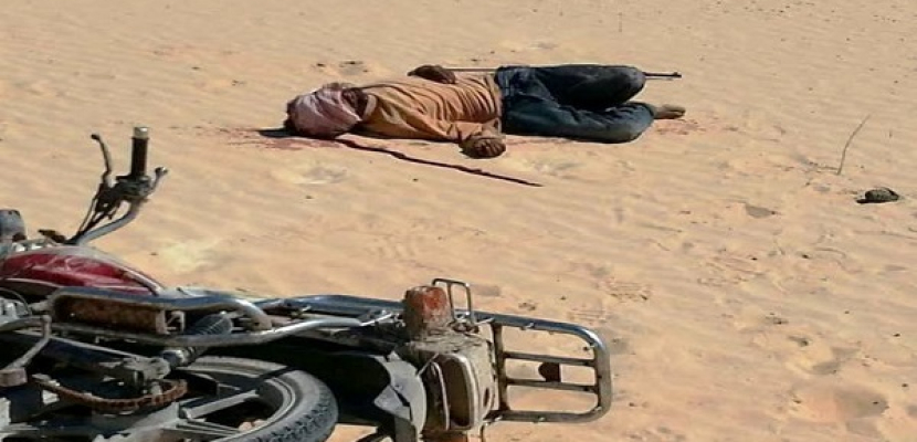 مقتل عنصرين من “أنصار بيت المقدس”وضبط 120 قذيفة هاون في سيناء