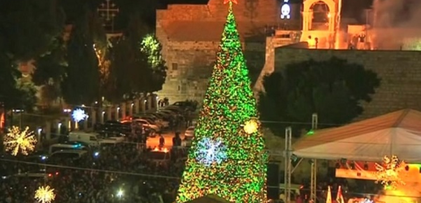 بيت لحم تضيء شجرة ضخمة لعيد الميلاد بساحة كنيسة المهد