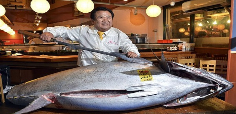 بيع سمكة تونة مقابل 4.5 مليون ين في اليابان
