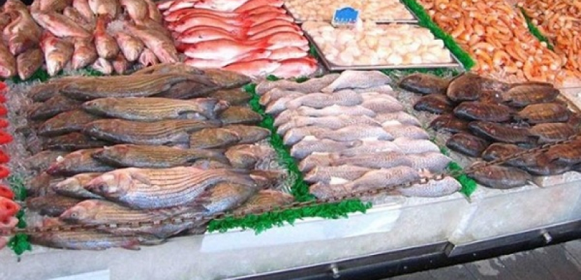 وزارة الزراعة تطرح كميات كبيرة من الأسماك واللحوم بأسعار مخفضة