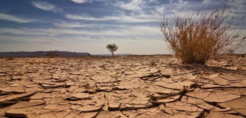 إفريقيا الأكثر عرضة لآثار التغير المناخي