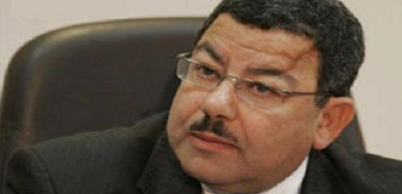تأجيل دعوى وقف منع سيف عبد الفتاح من السفر لـ 16 يونيو
