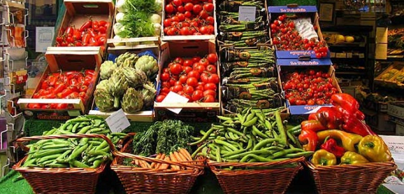 التموين :خطة لإنشاء أسواق حديثة وسلاسل تجارية ومراكز لوجستية للخضر والفاكهة