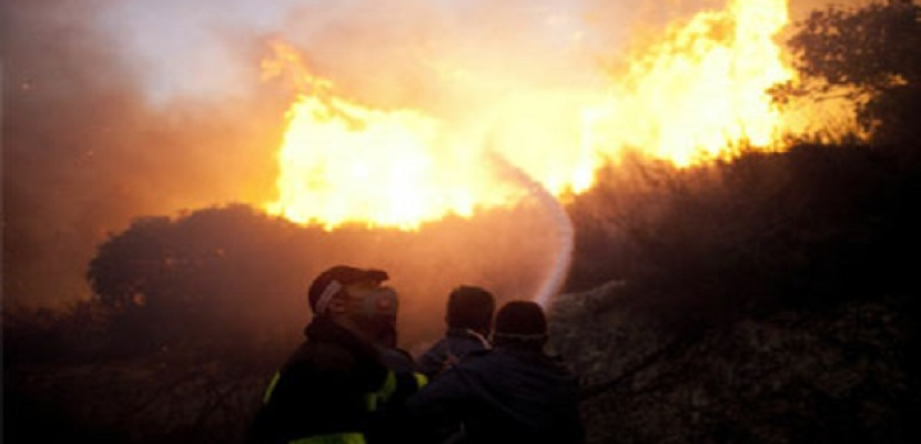 إصابة 6 عمال في حريق مصنع للزيوت بالأدبية بالسويس